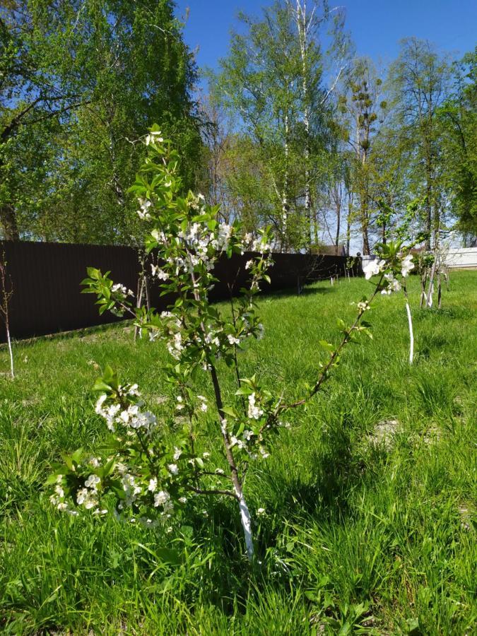 Лукі Villa Свитяз Екстериор снимка